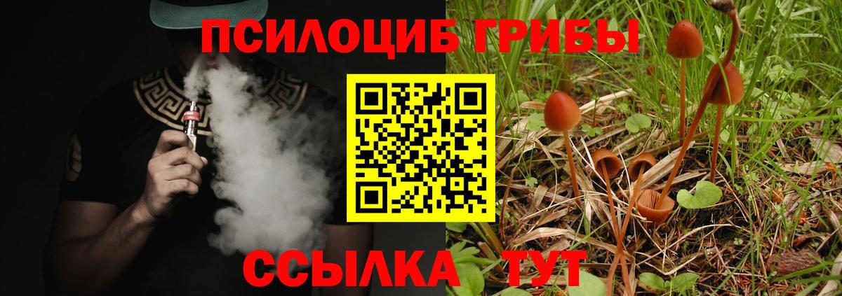 Галлюциногенные грибы прущие грибы  Вход с VPN  магазин продажи наркотиков  Алексин 